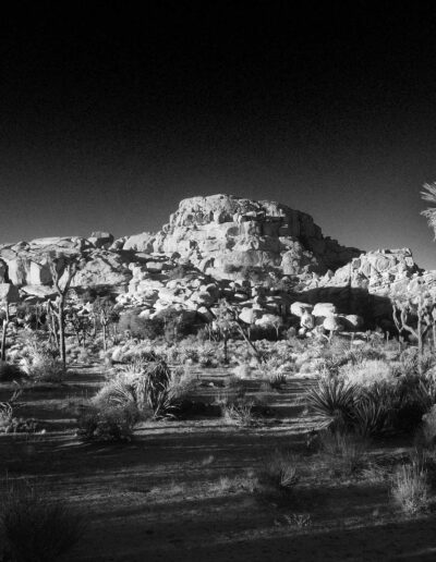 Joshua Tree, California