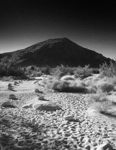Joshua Tree National Park, California