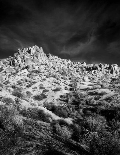 Joshua Tree, California